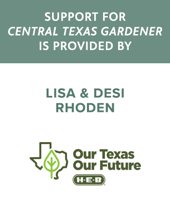 Support for Central Texas Gardener is provided by Lisa and Desi Roden, H-E-B